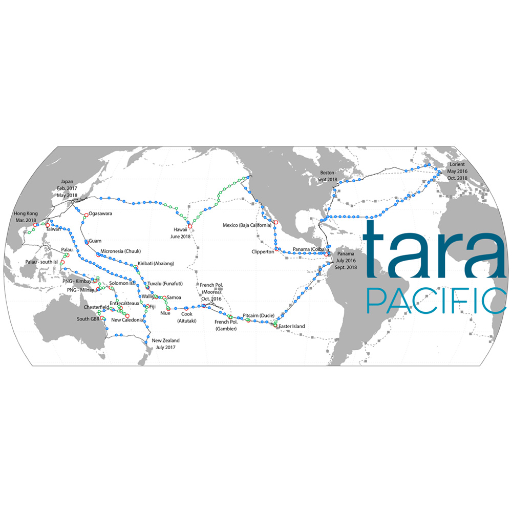 Tara Pacific